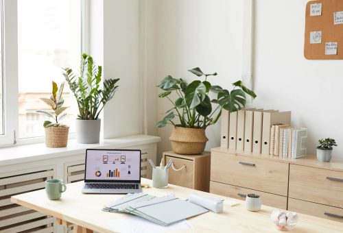 Clean Regent - Home office essentials