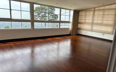 Clean Regent - Floor care